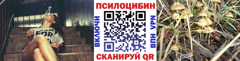 закладки  Исилькуль  ссылка на мегу как войти  Псилоцибиновые грибы прущие грибы 